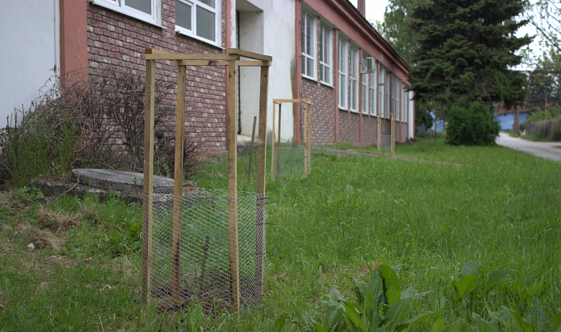 <p>Toto je jeden z našich stromčekov, ktoré pomáhajú prinavrátiť prírodu do priemyselného prostredia.</p>